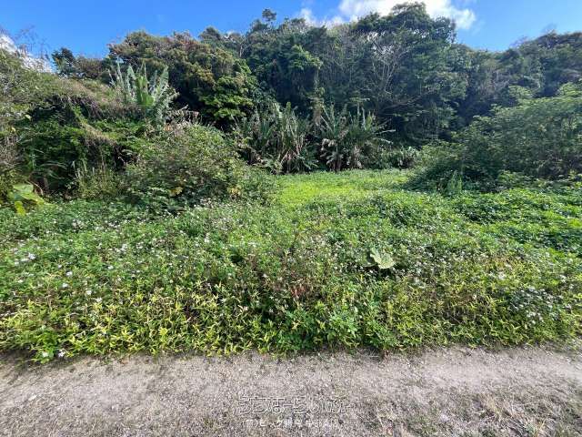 936m² Land for Sale in Noborikawa, Okinawa City - Thumbnail 4