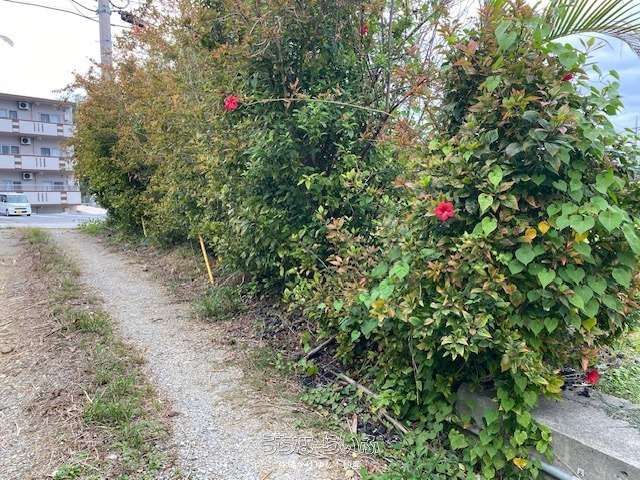 452m² Land for Sale in Nakijin Village, Okinawa - Highway Frontage - Image 1