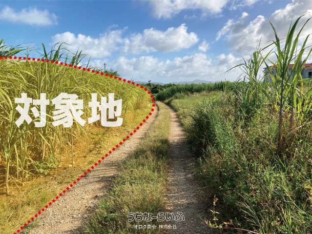 1117 sqm Land for Sale in Kouri, Nakijin Village, Okinawa - Thumbnail 4