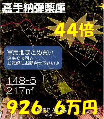 217 sqm Land for Sale in Yomitan Village, Okinawa - Military Lease - Thumbnail 2