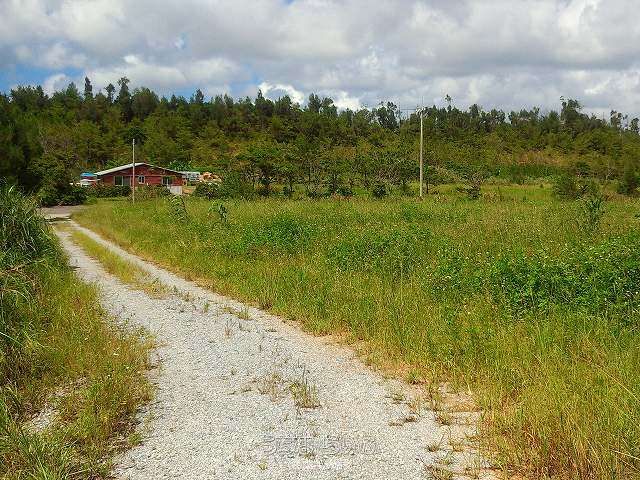 9,683 sqm Farmland for Sale in Higashi Village, Okinawa - Thumbnail 2