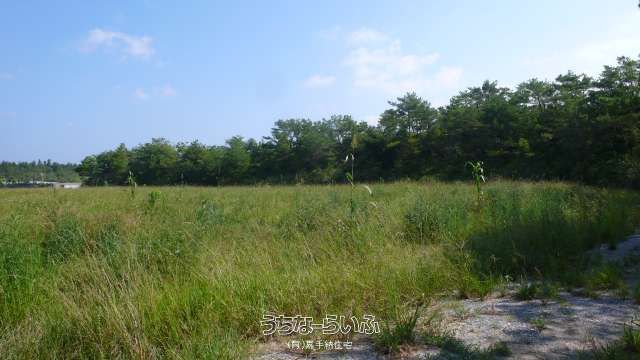 9,683 sqm Farmland for Sale in Higashi Village, Okinawa - Thumbnail 4