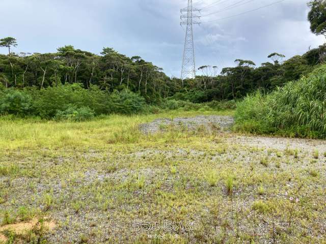 Lease Land in Nago, Okinawa - 2314 sqm Plot - Thumbnail 2