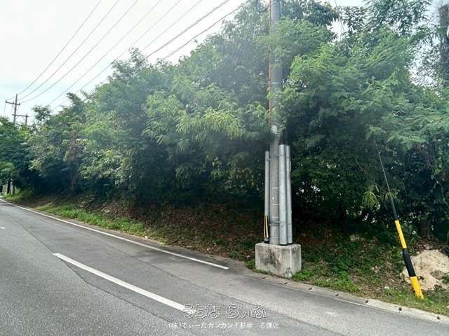 190㎡ Land for Sale in Kin Town, Okinawa | Wilderness Plot - Thumbnail 3