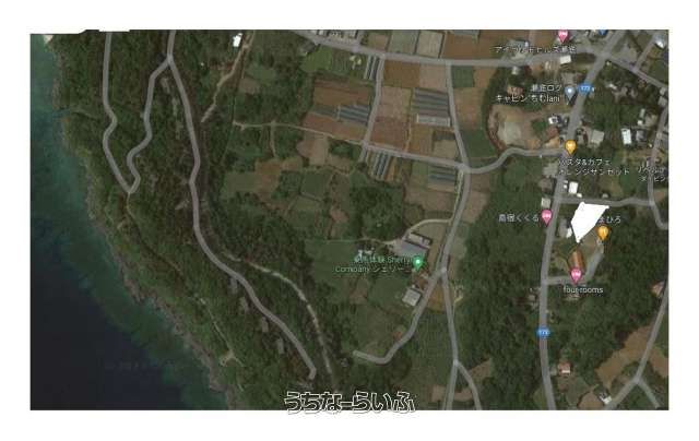 560.99 sqm Land for Sale in Seriguchi, Motobu Town, Okinawa - Thumbnail 4