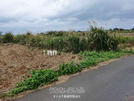 560.99 sqm Land for Sale in Seriguchi, Motobu Town, Okinawa - Thumbnail 3