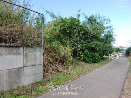 560.99 sqm Land for Sale in Seriguchi, Motobu Town, Okinawa - Image 1