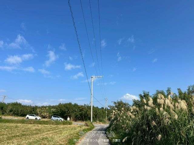 473m² Land for Sale on Seragaki Island, Motobu, Okinawa - Thumbnail 4
