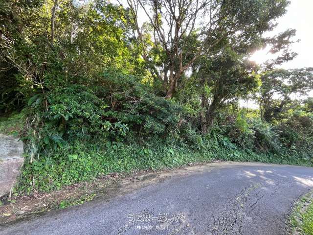 Land for Sale in Uruma Okinawa - 1330 sqm Plot - Thumbnail 2