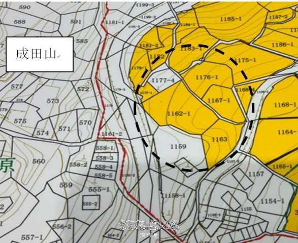 1392 sqm Land Plot in Nakagusuku Village, Okinawa - Thumbnail 4