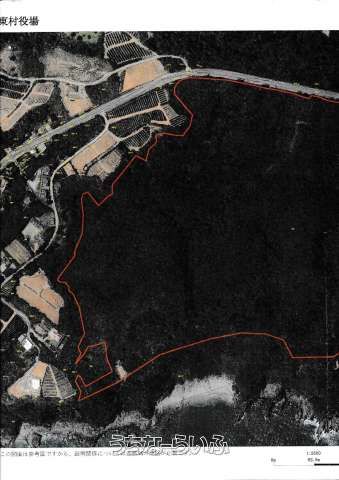 251,488 sqm Pacific-Facing Land for Sale in Higashi Village, Okinawa - Thumbnail 4