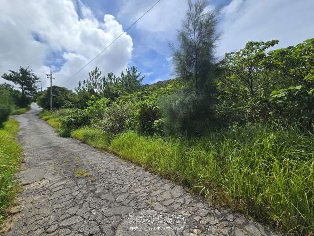 330m² Land for Sale in Nakijin Village, Okinawa - Thumbnail 2