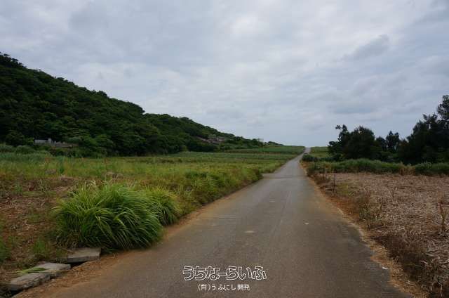 514m² Land Plot in Yomitan Village, Okinawa with Ocean Views - Thumbnail 3