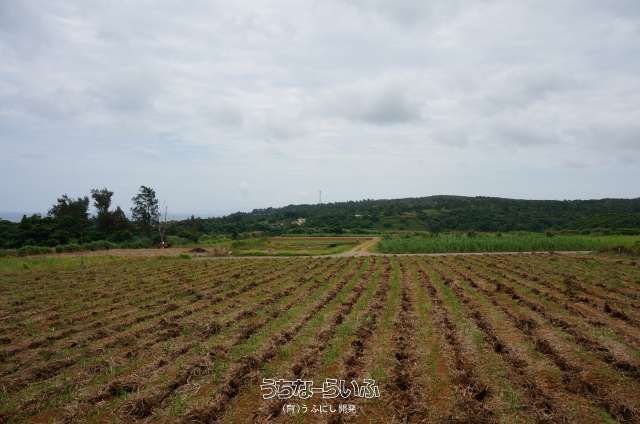 514m² Land Plot in Yomitan Village, Okinawa with Ocean Views - Thumbnail 2