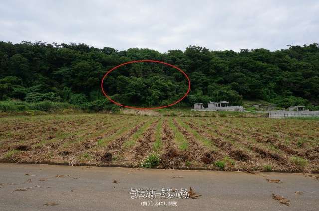 514m² Land Plot in Yomitan Village, Okinawa with Ocean Views - Image 1
