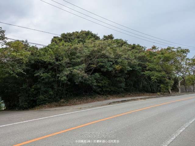 18,409 sqm Land for Sale in Kanna, Ginowan Village, Okinawa - Thumbnail 3