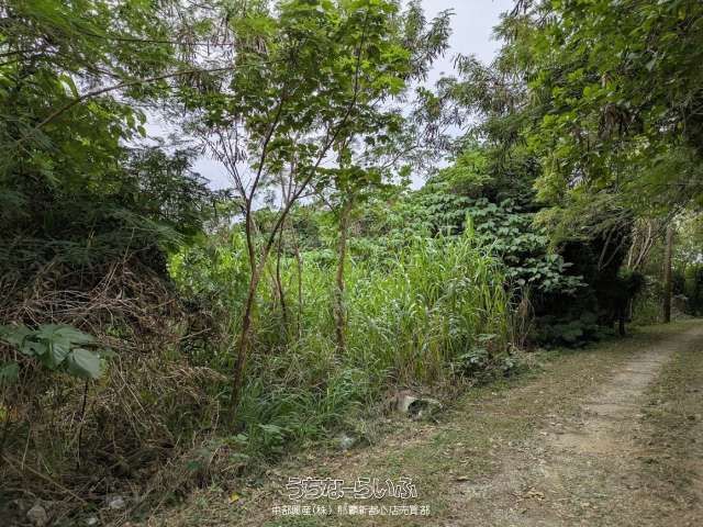 18,409 sqm Land for Sale in Kanna, Ginowan Village, Okinawa - Thumbnail 2