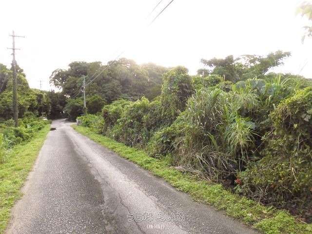333 sqm Land for Sale in Unten, Nakijin Village, Okinawa - Thumbnail 2