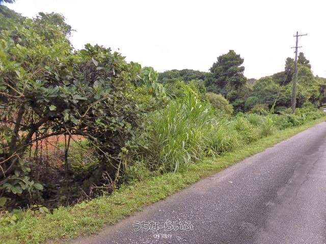 333 sqm Land for Sale in Unten, Nakijin Village, Okinawa - Thumbnail 4