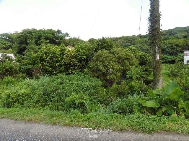 333 sqm Land for Sale in Unten, Nakijin Village, Okinawa - Thumbnail 3
