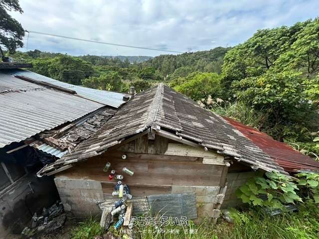 484 sqm Land for Sale in Higashi Village, Okinawa - Quiet & Green - Thumbnail 4