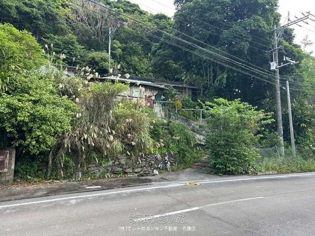 484 sqm Land for Sale in Higashi Village, Okinawa - Quiet & Green - Thumbnail 2