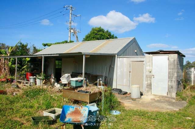 2000 Tsubo Mango Farm for Sale Near Kouri Bridge, Nago City - Image 1