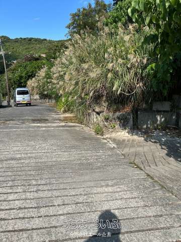 3756㎡ Land for Sale in Nanjo City, Okinawa with Panoramic Views - Thumbnail 2