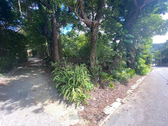 3,269m² Land with Sea Views in Nakijin, Okinawa - Thumbnail 3