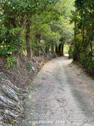 3,269m² Land with Sea Views in Nakijin, Okinawa - Thumbnail 4