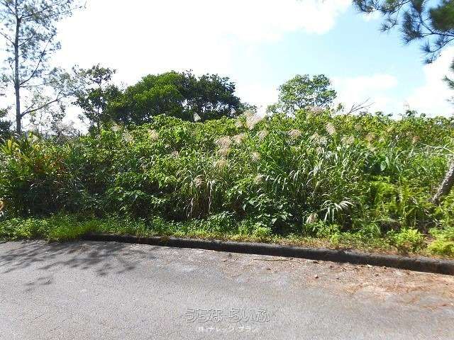 4232 Tsubo Land for Sale in Higashi Village, Okinawa - Thumbnail 3