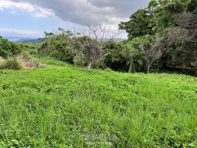 879m² Ocean View Land for Sale in Nanjo City, Okinawa - Thumbnail 3