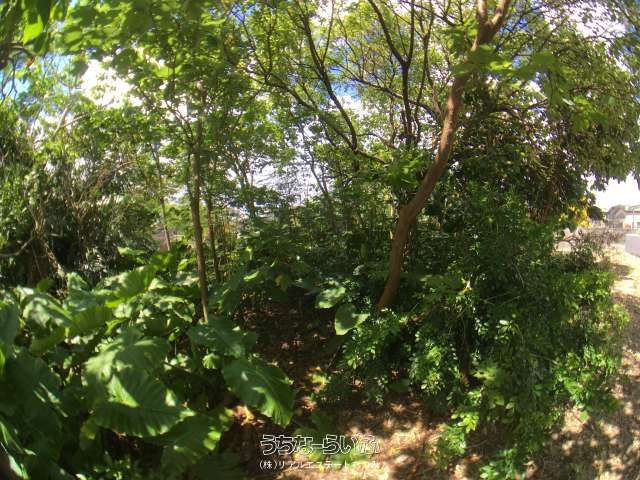 58m² Cemetery Land Plot for Sale in Ishigaki City, Okinawa - Thumbnail 2