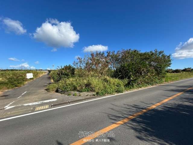 Agricultural Land for Sale in Tokeshi, Yomitan Village, Okinawa - Thumbnail 4