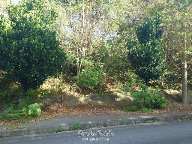 344m² Land for Sale in Motobu Town, Okinawa