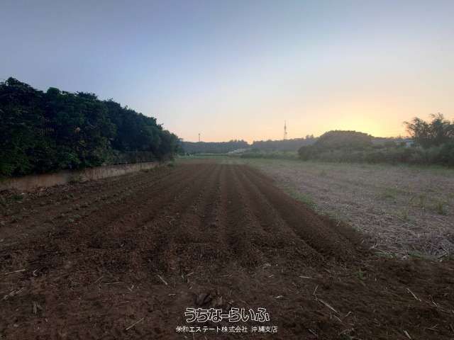 3542 sqm Land for Sale in Miyakojima City, Okinawa - Thumbnail 4