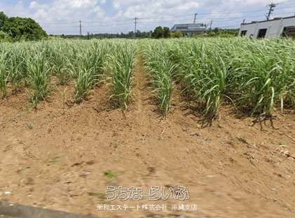 3542 sqm Land for Sale in Miyakojima City, Okinawa - Thumbnail 2