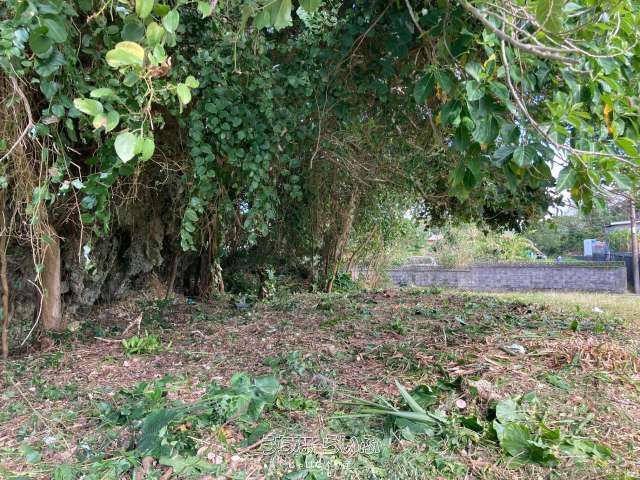 446m² Land for Sale in Nakijin, Okinawa - Near Churaumi Aquarium - Thumbnail 2