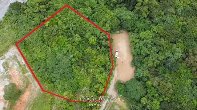 3558 sqm Land for Sale in Tenhoku, Nakijin Village, Okinawa - Thumbnail 3