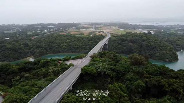 3558 sqm Land for Sale in Tenhoku, Nakijin Village, Okinawa - Thumbnail 2