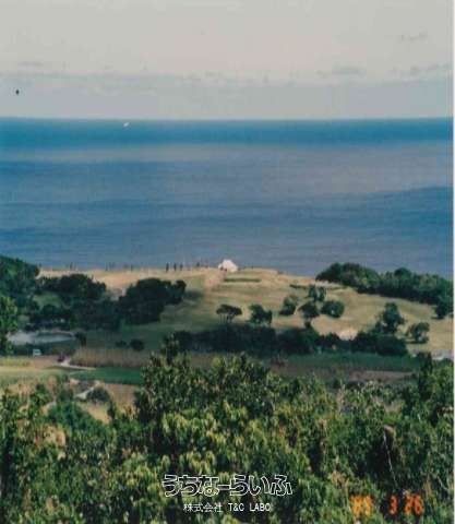 10,298 sqm Ocean View Land for Sale in Yaese, Okinawa - Thumbnail 2