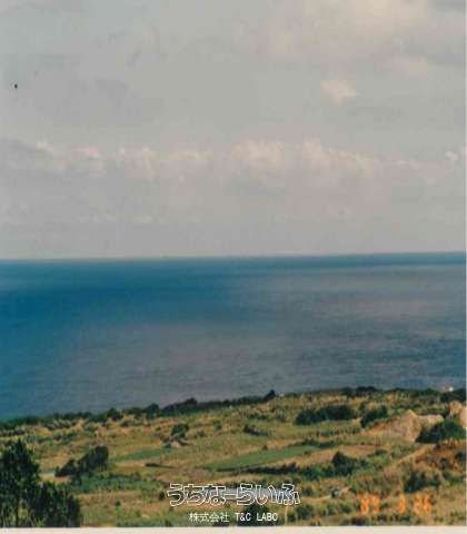 10,298 sqm Ocean View Land for Sale in Yaese, Okinawa - Thumbnail 3
