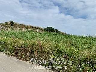 3329 sqm Agricultural Land for Sale in Yaza, Yaese Town, Okinawa - Thumbnail 2
