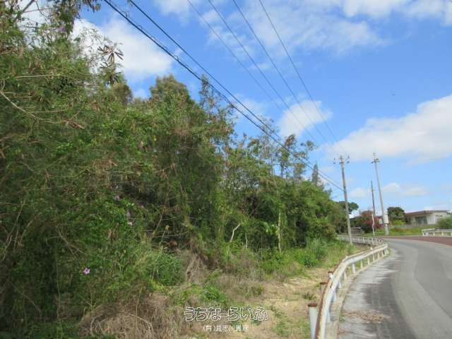 983 sqm Land for Sale in Kin Town, Okinawa - Development Potential - Thumbnail 3