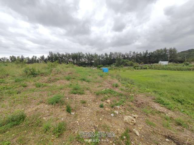 5,633 sqm Agricultural Land for Sale in Uruma, Okinawa - Thumbnail 3