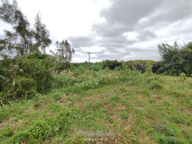 5,633 sqm Agricultural Land for Sale in Uruma, Okinawa - Thumbnail 4