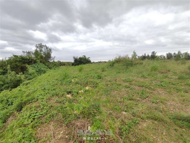 5,633 sqm Agricultural Land for Sale in Uruma, Okinawa - Thumbnail 2