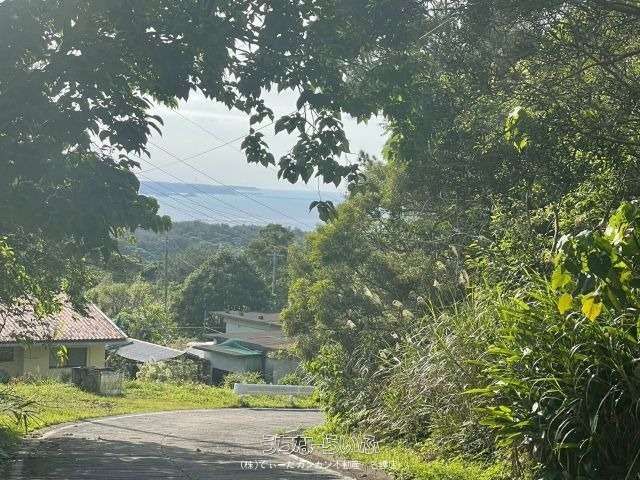 25,655 sqm Land for Sale in Ogimi Village, Okinawa with Panoramic Views - Thumbnail 3