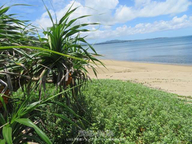 565㎡ Ocean View Land in Ogimi Village, Okinawa - Thumbnail 2