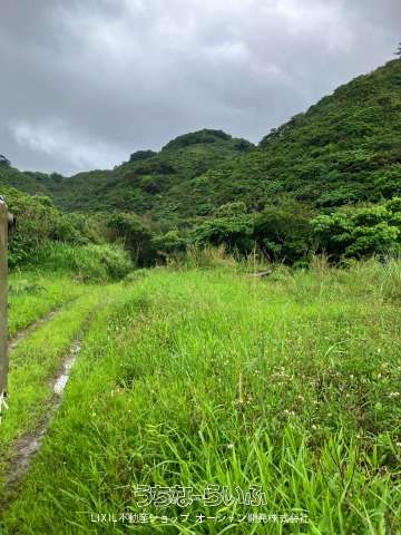 565㎡ Ocean View Land in Ogimi Village, Okinawa - Thumbnail 4